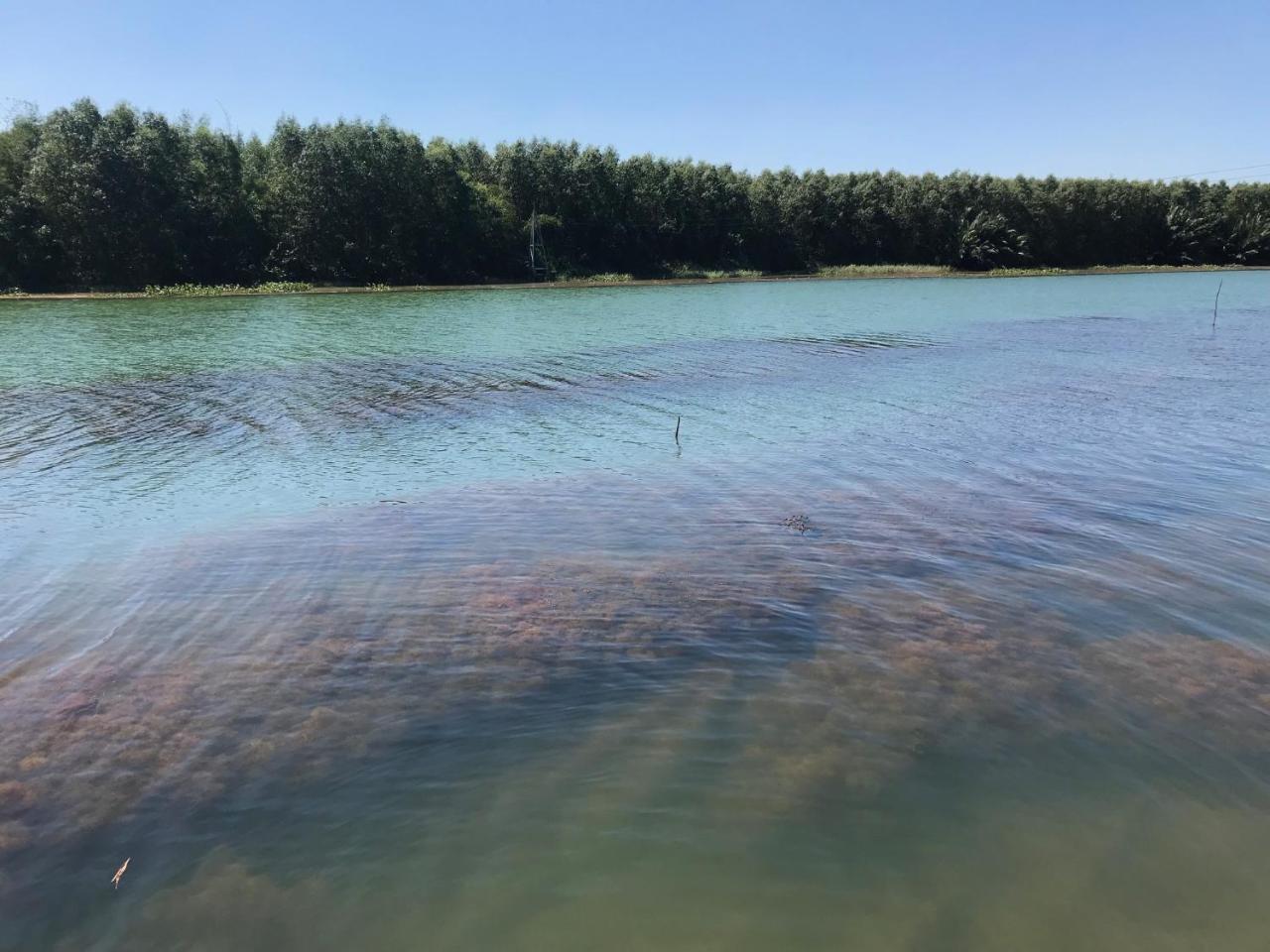 Chi-Bu Riverside 년짝현 외부 사진